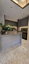 Amber Gardens (D15), Condominium #485993331